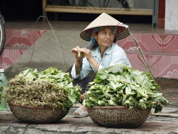 Gánh hàng rong bán rau tại Nghĩa Lộ, Yên Bái